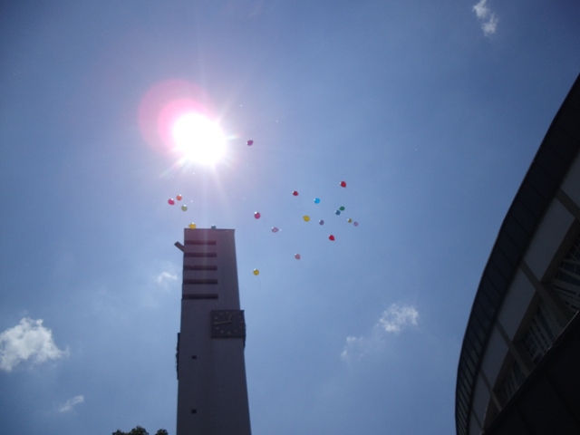 sfkmarriages (33).JPG